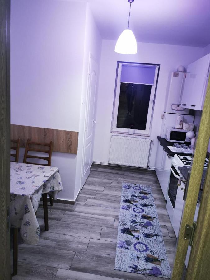 Violet Residence Тыргу-Муреш Экстерьер фото