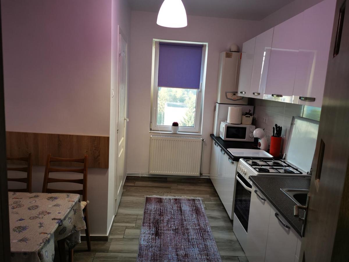 Violet Residence Тыргу-Муреш Экстерьер фото